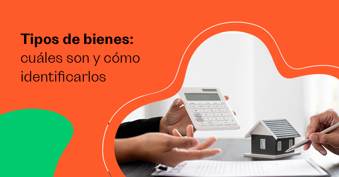 Tipos de bienes: cuáles son y cómo identificarlos
